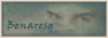 Benaresq